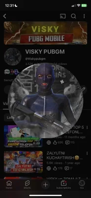 Visky pubgm