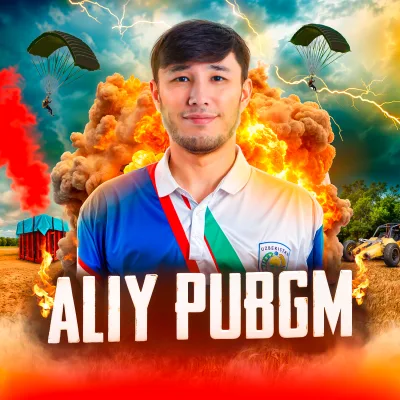 ALIY PUBGM