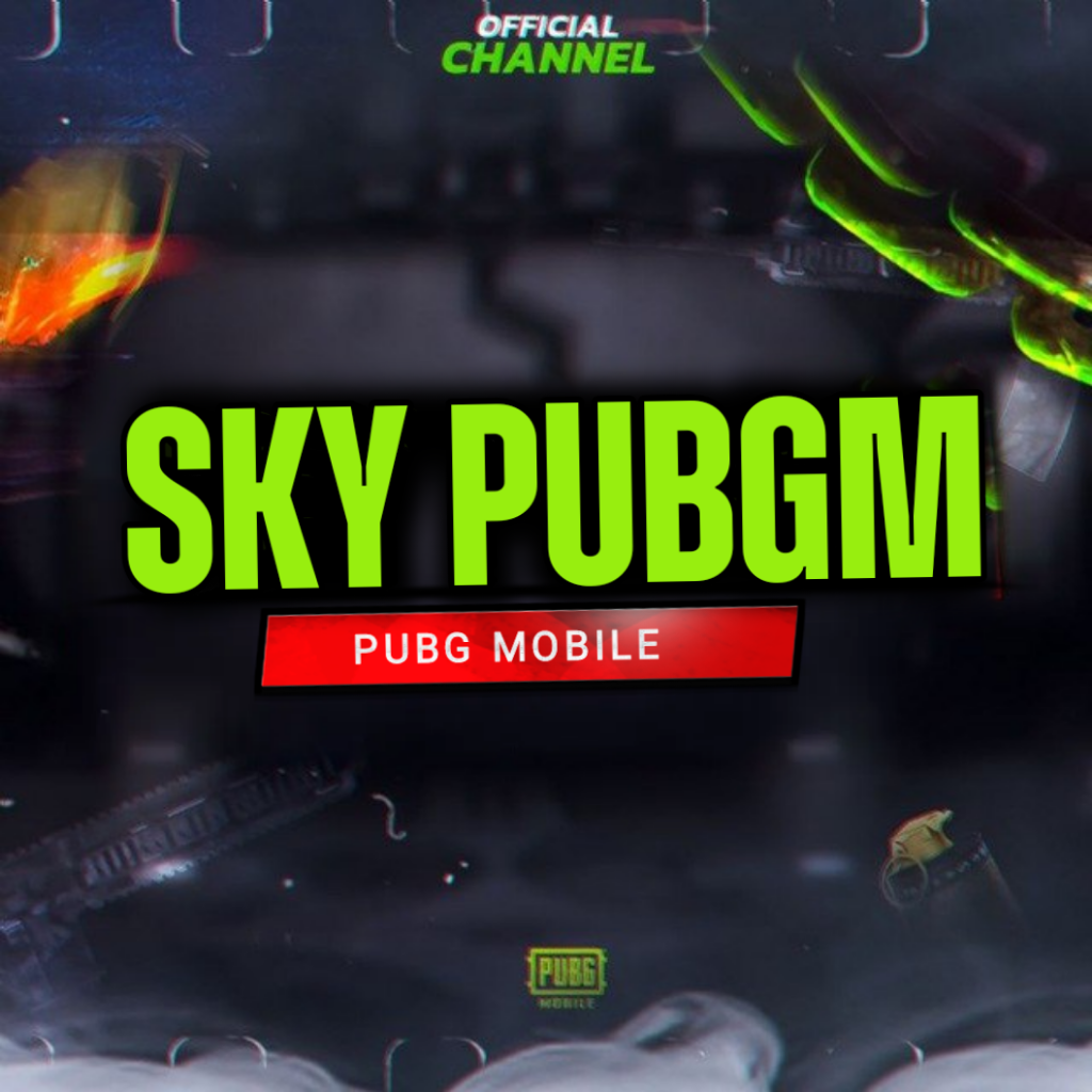 SKY PUBGM