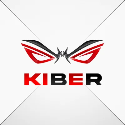 KIBER GAMING